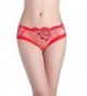 YLY7 Womens Underwear Embroidery Panties